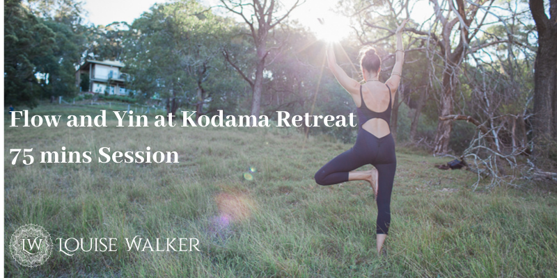 'Flow and Let Go' - ONLINE Flow and Yin at Kodama Retreat - Sat June 20th 8.30-9.45am
